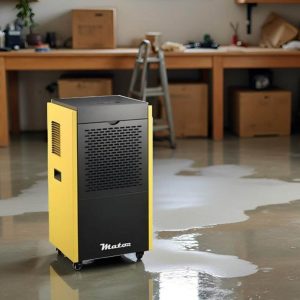 Imágen Dryer Pro